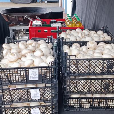 Photo 2025 07 14 14 05 52 2